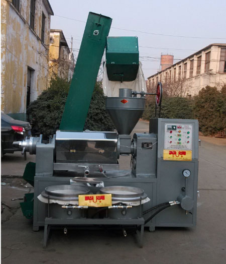 整套螺旋榨油機(jī)設(shè)備